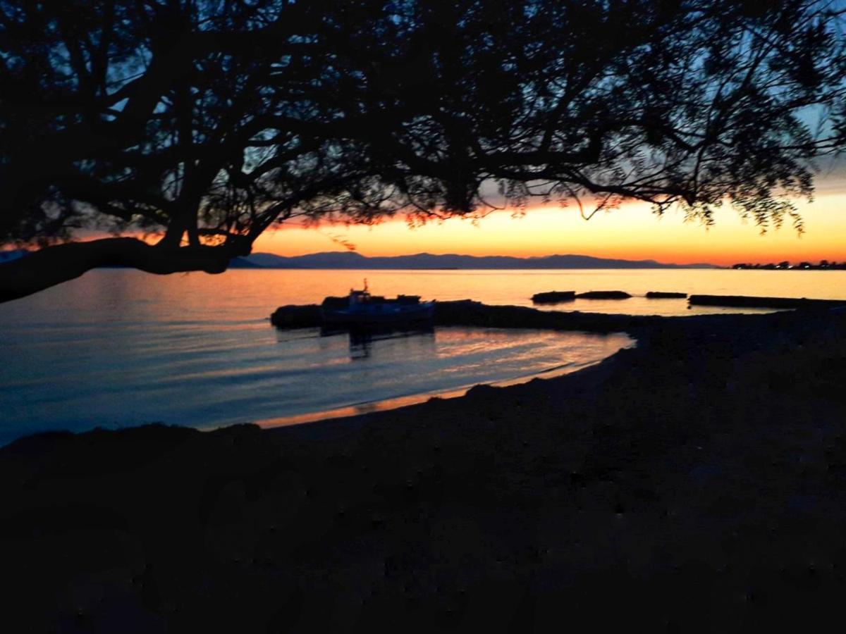 Elegant New Maisonette Near The Sea Aegina ภายนอก รูปภาพ